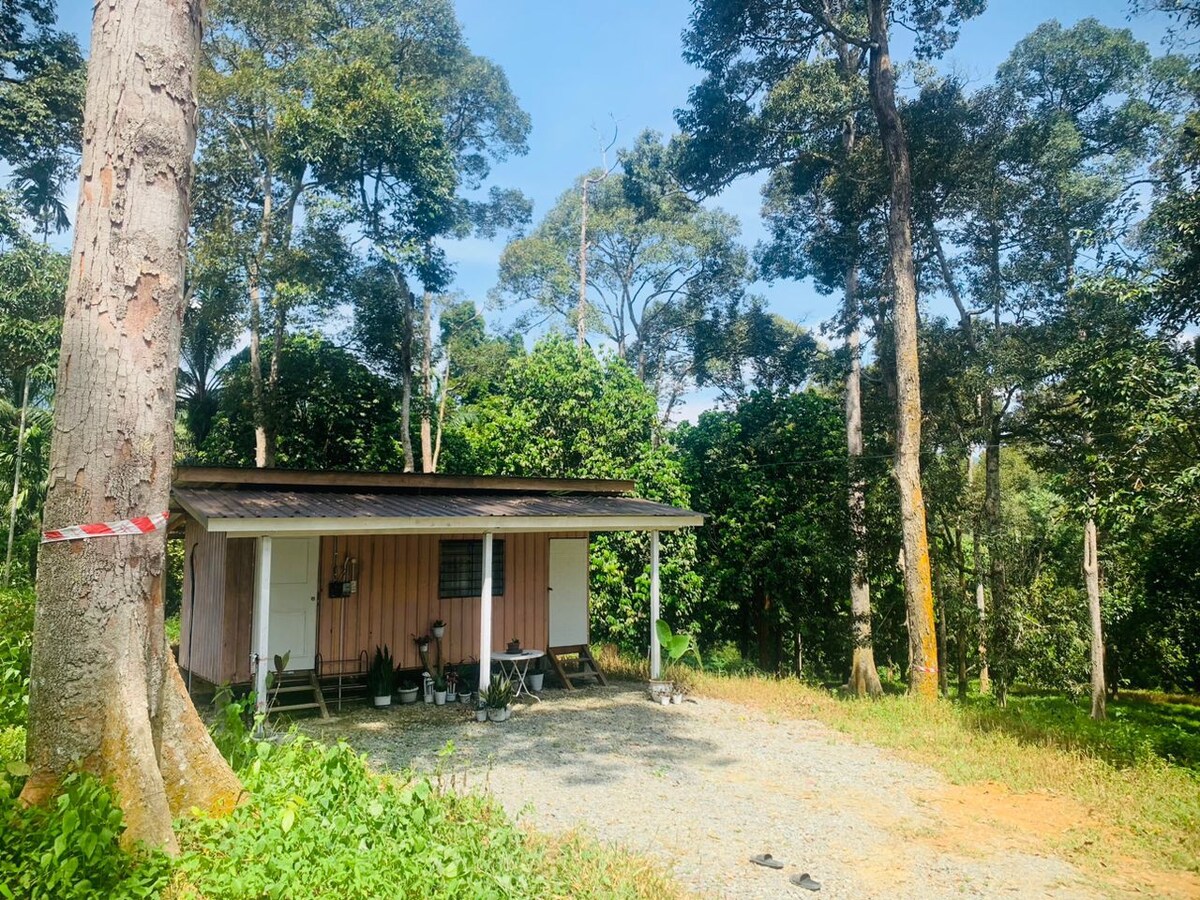 Cabin Chalet Dusun Ulu Checka Jerantut Pahang