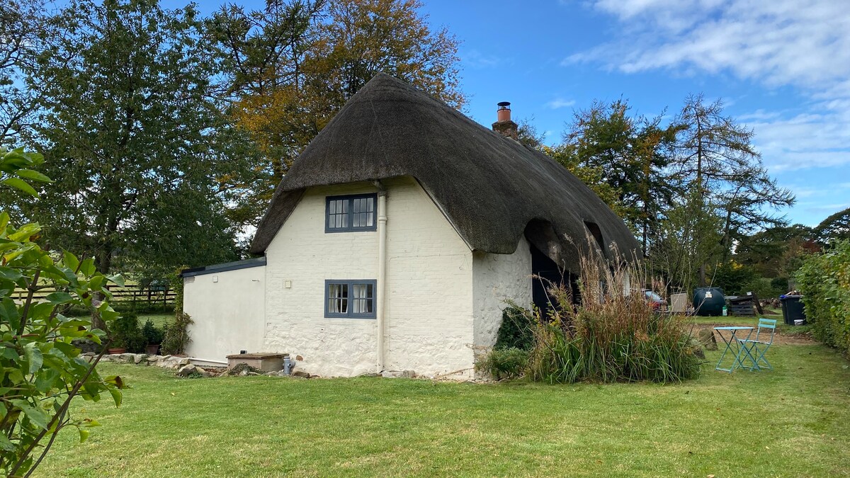 Super Cosy 17thC Thatch Cottage 3 double beds