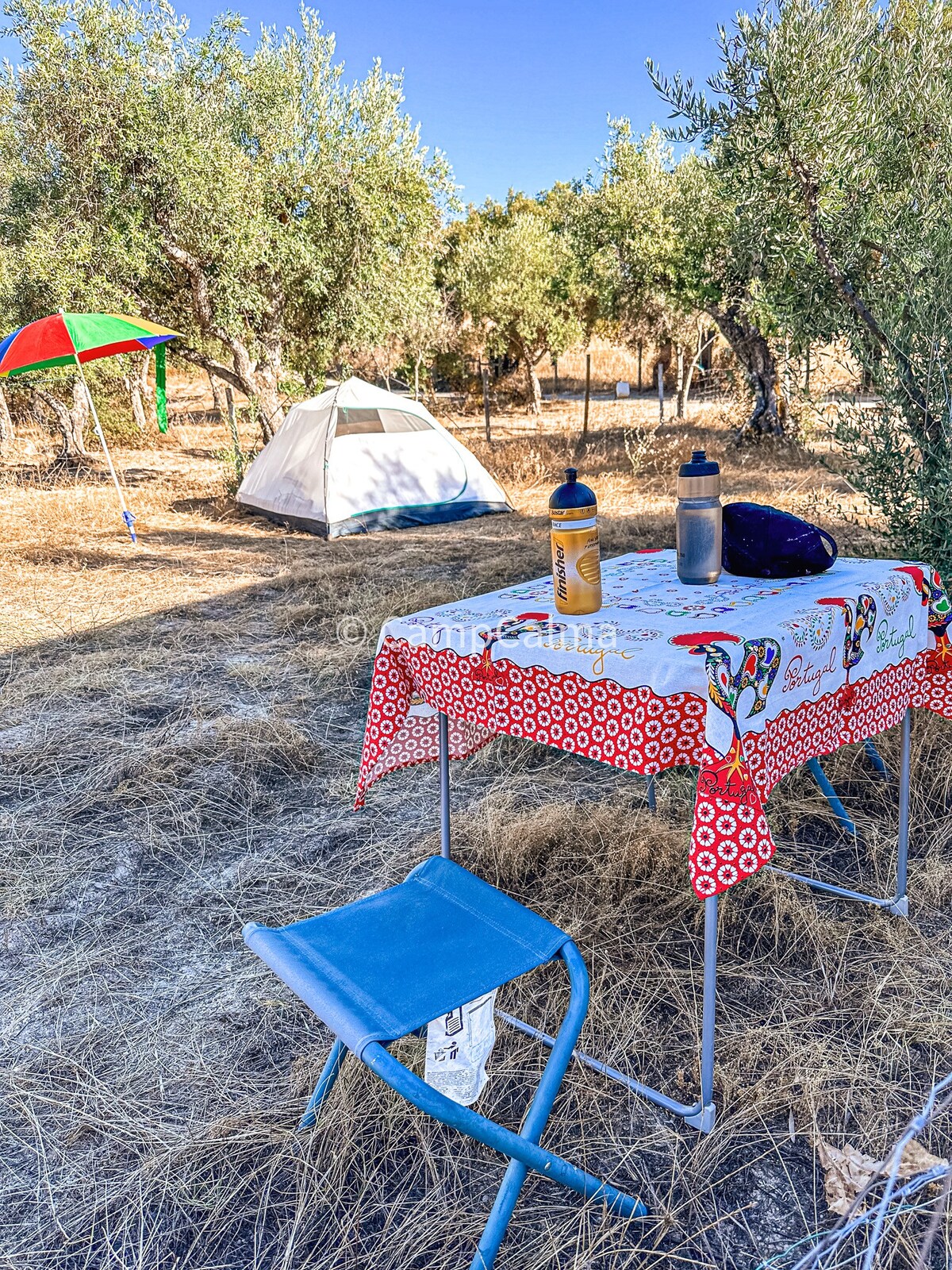 Off-Grid Tent with Mountain View