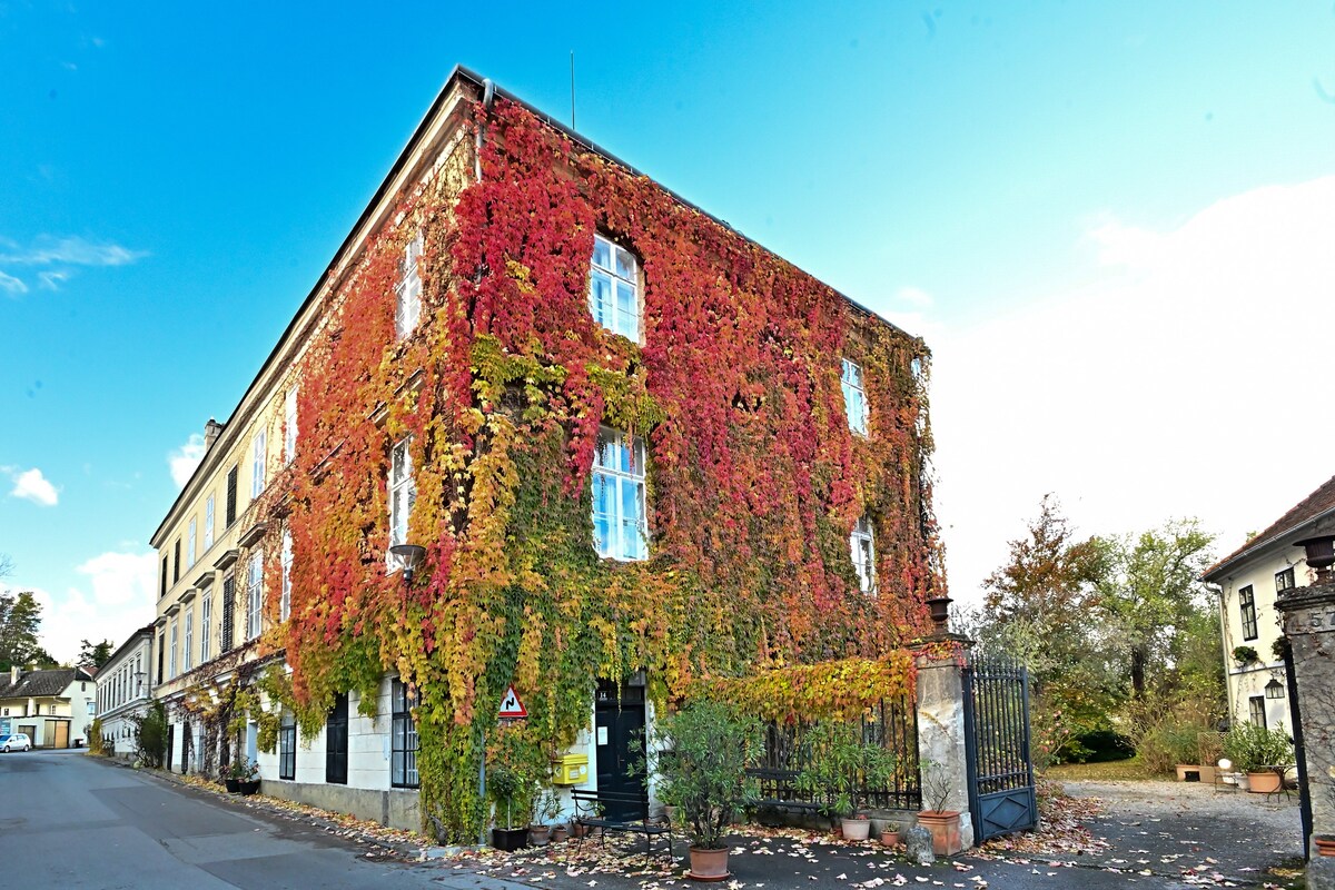 The galante Yellow at Schloss Hollenburg