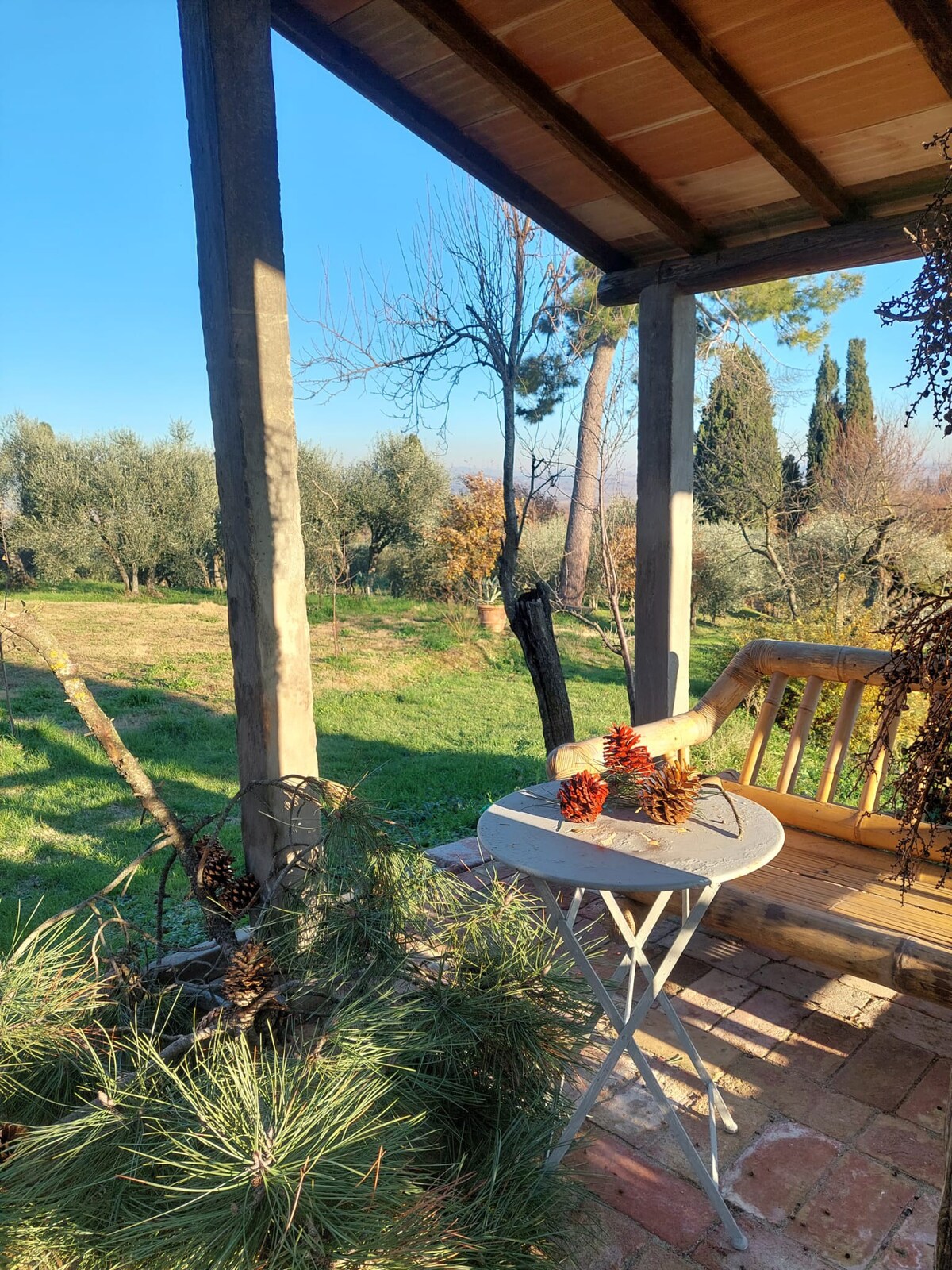 Villa in Tuscany for rent