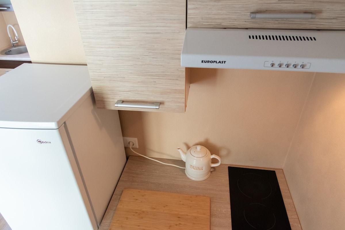 Simple 1-room apartment