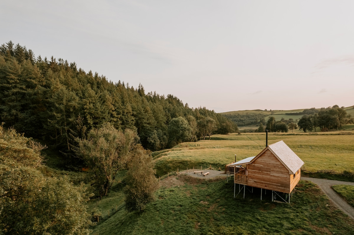 Woolly Wood Cabins - Nant