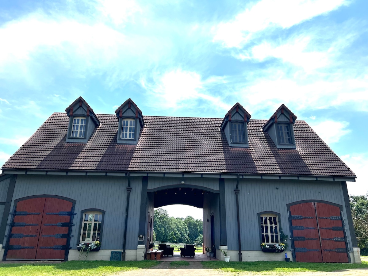 Chateau Cheval

Chambre d' hotel