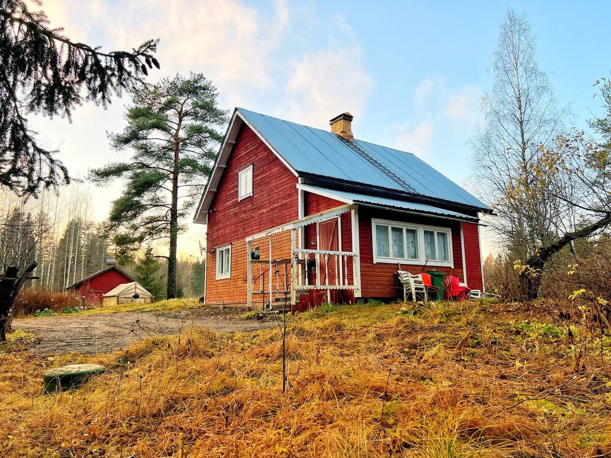 森林附近的芬兰房屋
