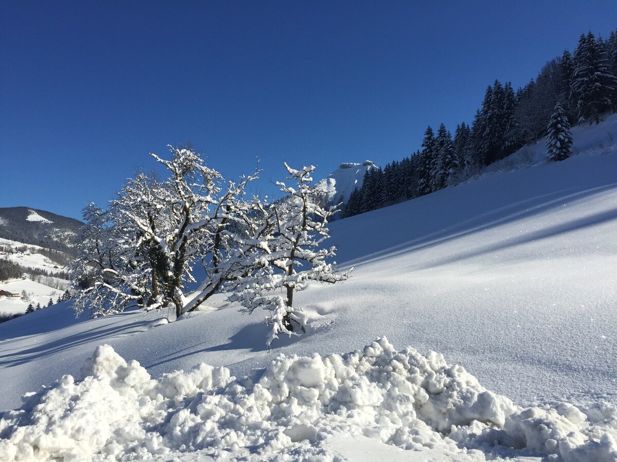 Reithütte - Vorderreit Blockhaushütte