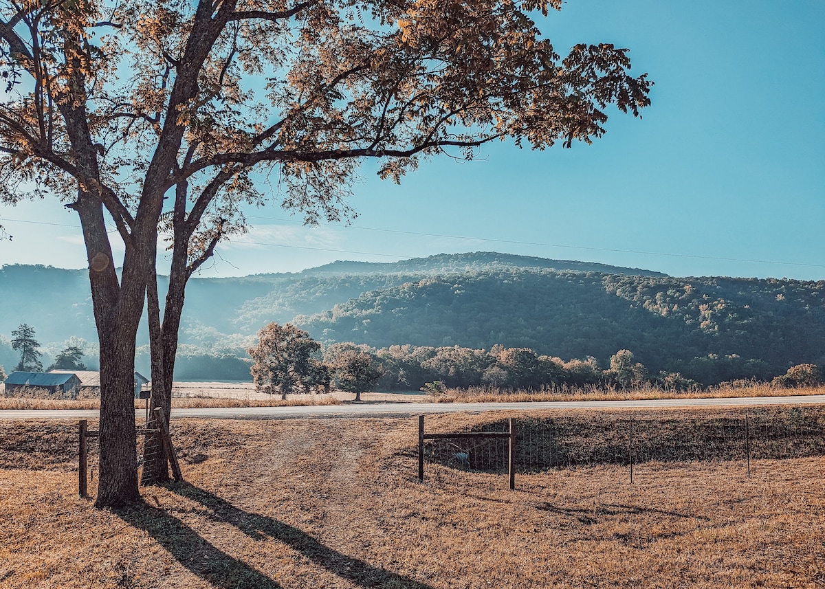 Elk View小木屋