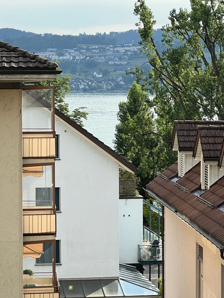 Lakeview Zurich Männedorf by Cityrooms (C)