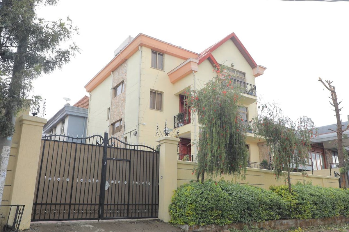 阿迪斯大厦（ Big Mansion Home in Addis ）