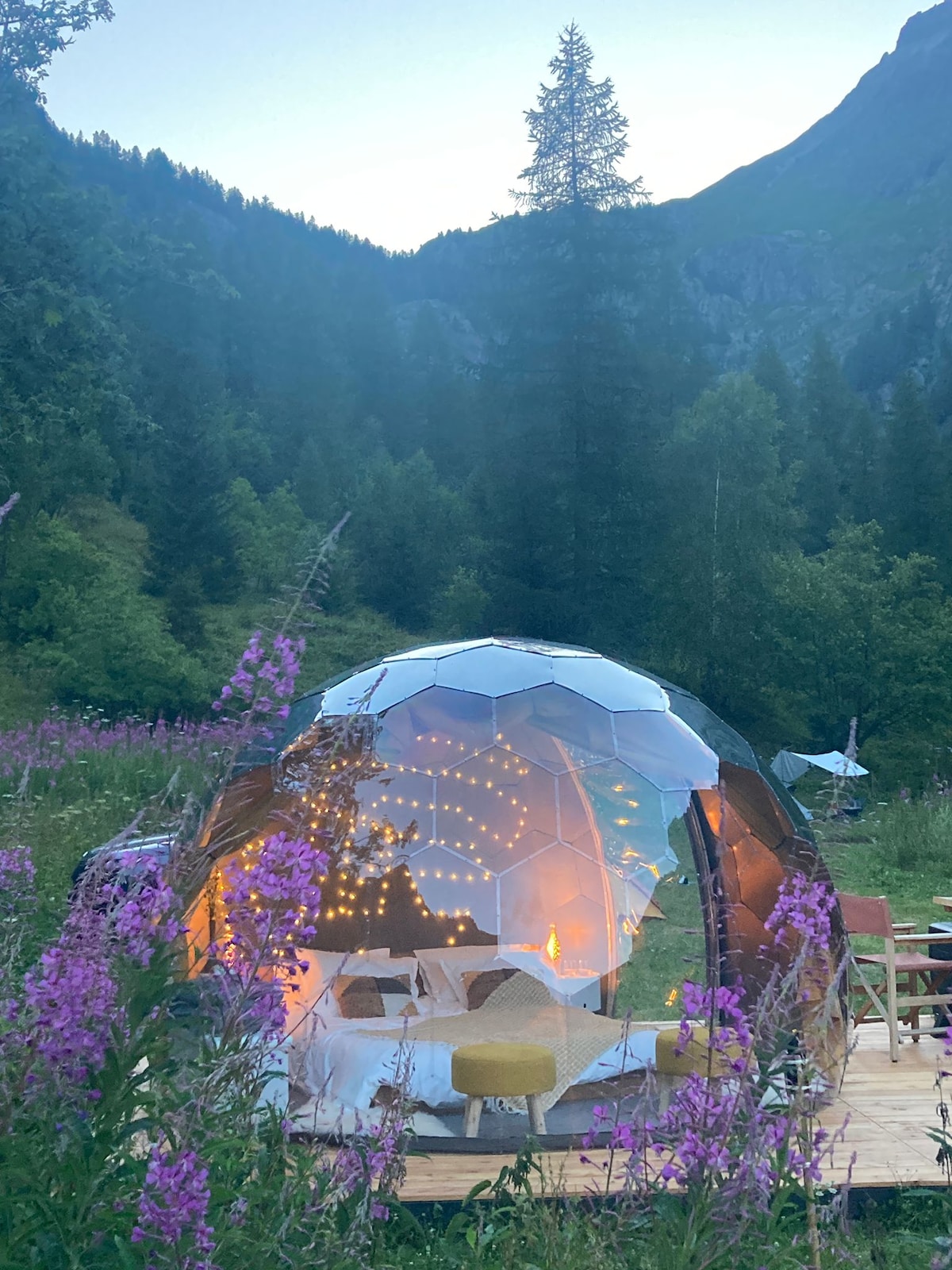 the lynx: Cosy Dome in the mountains