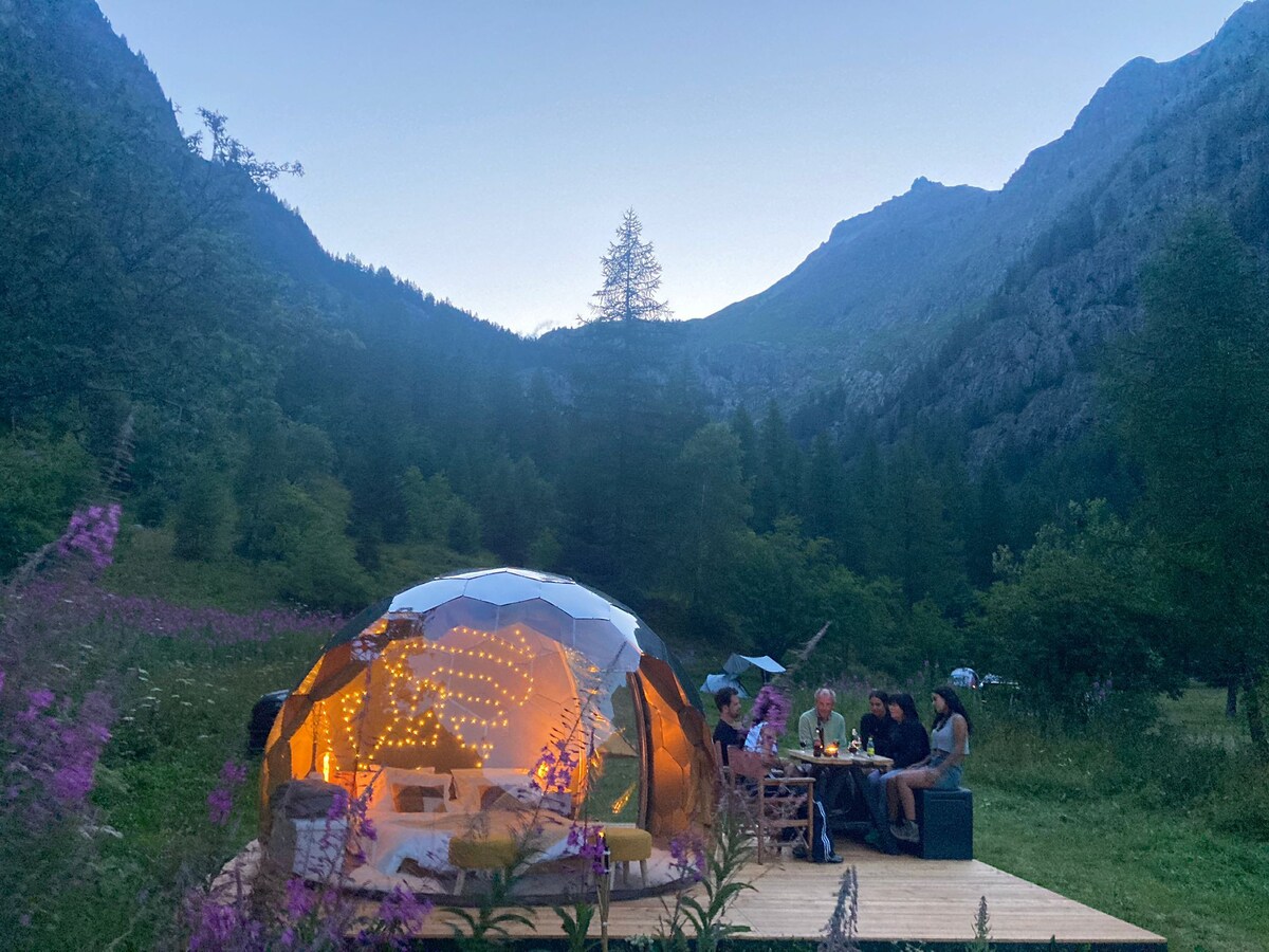 the lynx: Cosy Dome in the mountains