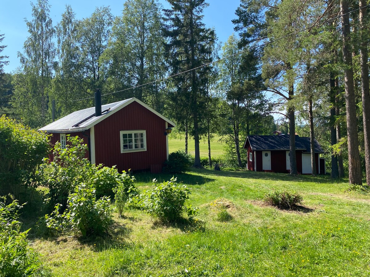 Gezellig & traditioneel vakantiehuis in Jämtland.