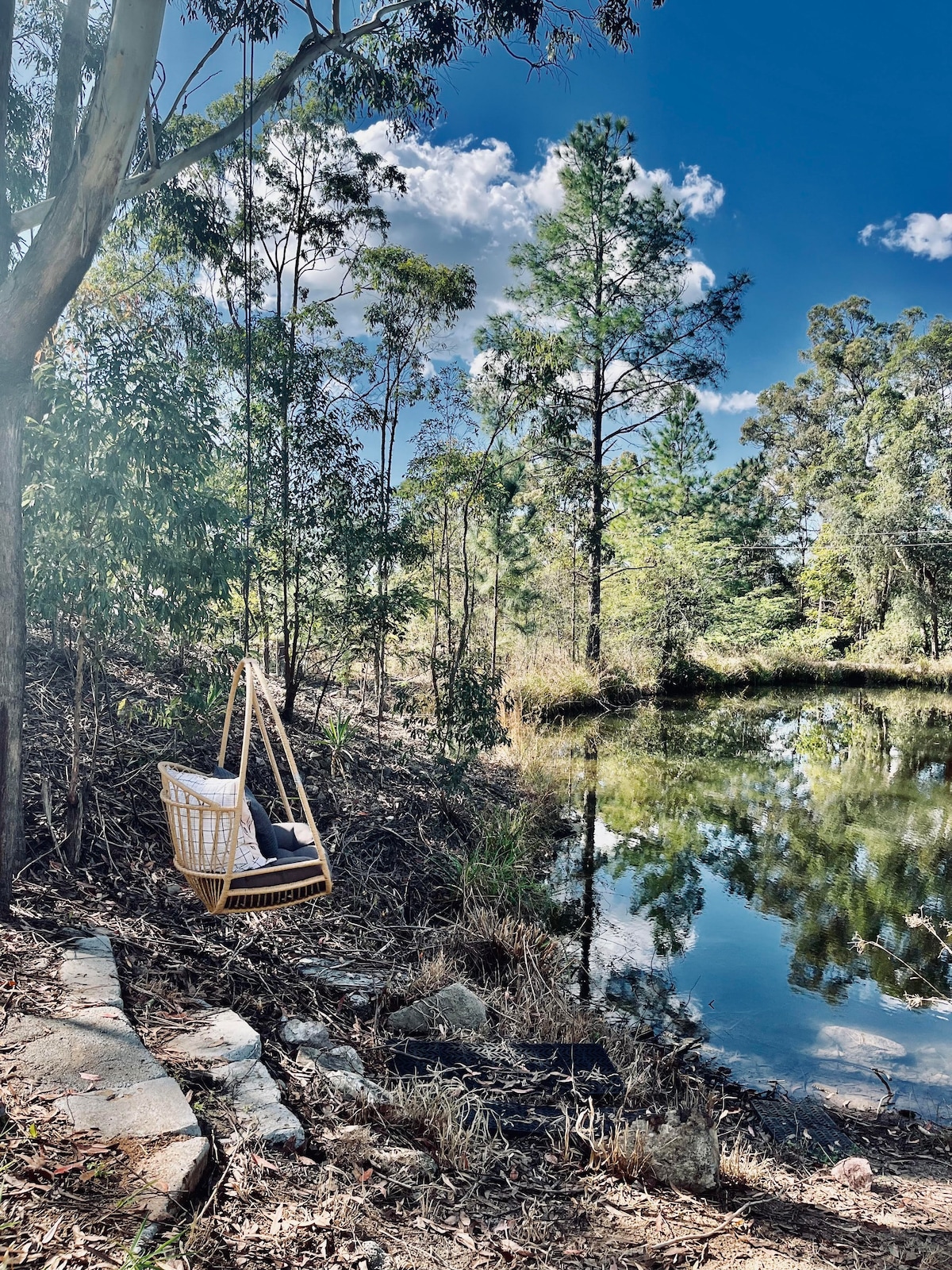 Little Olive Eco Cabin on a dam.