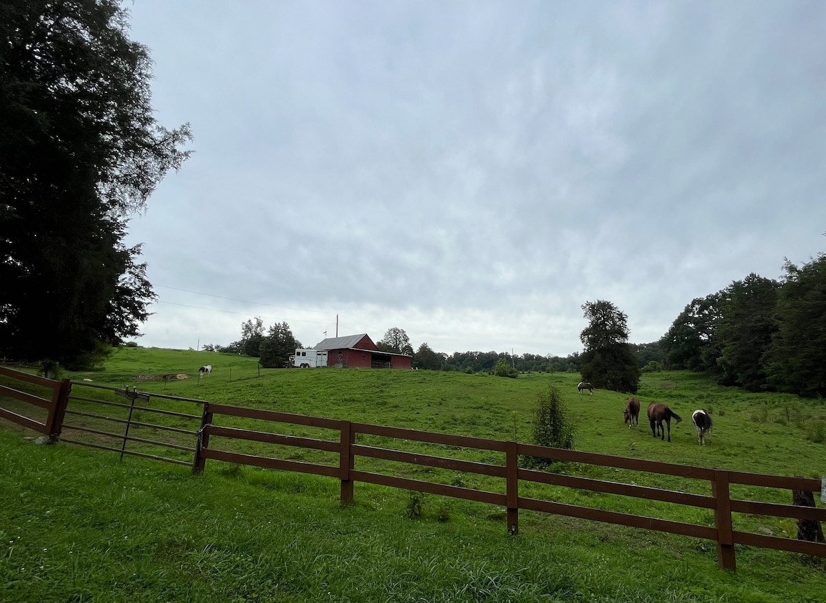 Farm/Dude Ranch Chalet GSmoky Mtns 0$ cleaning fee