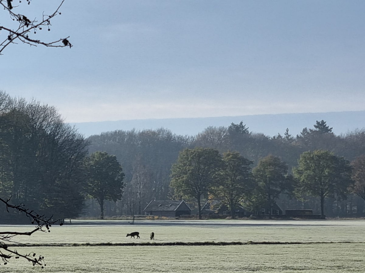 Het Bakhuisje