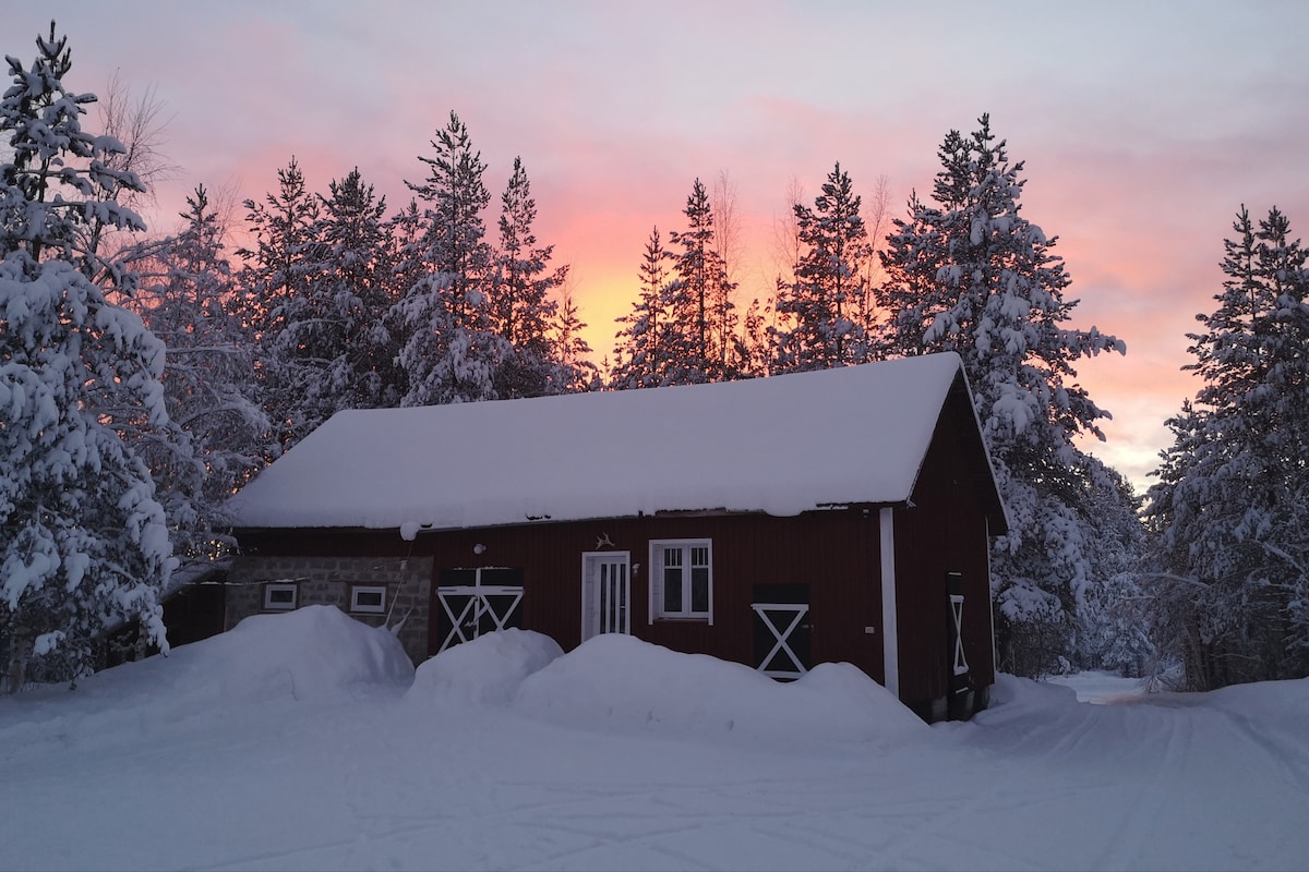 Kleine FEWO in Lappland