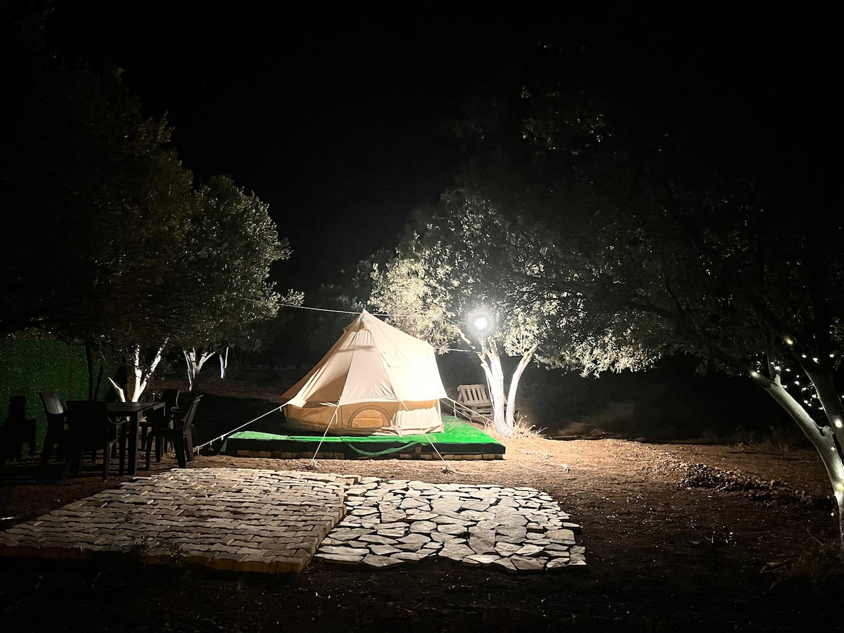 大自然中的帐篷和橄榄树