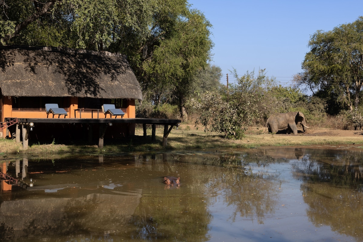 Hippo hide,自炊式小木屋