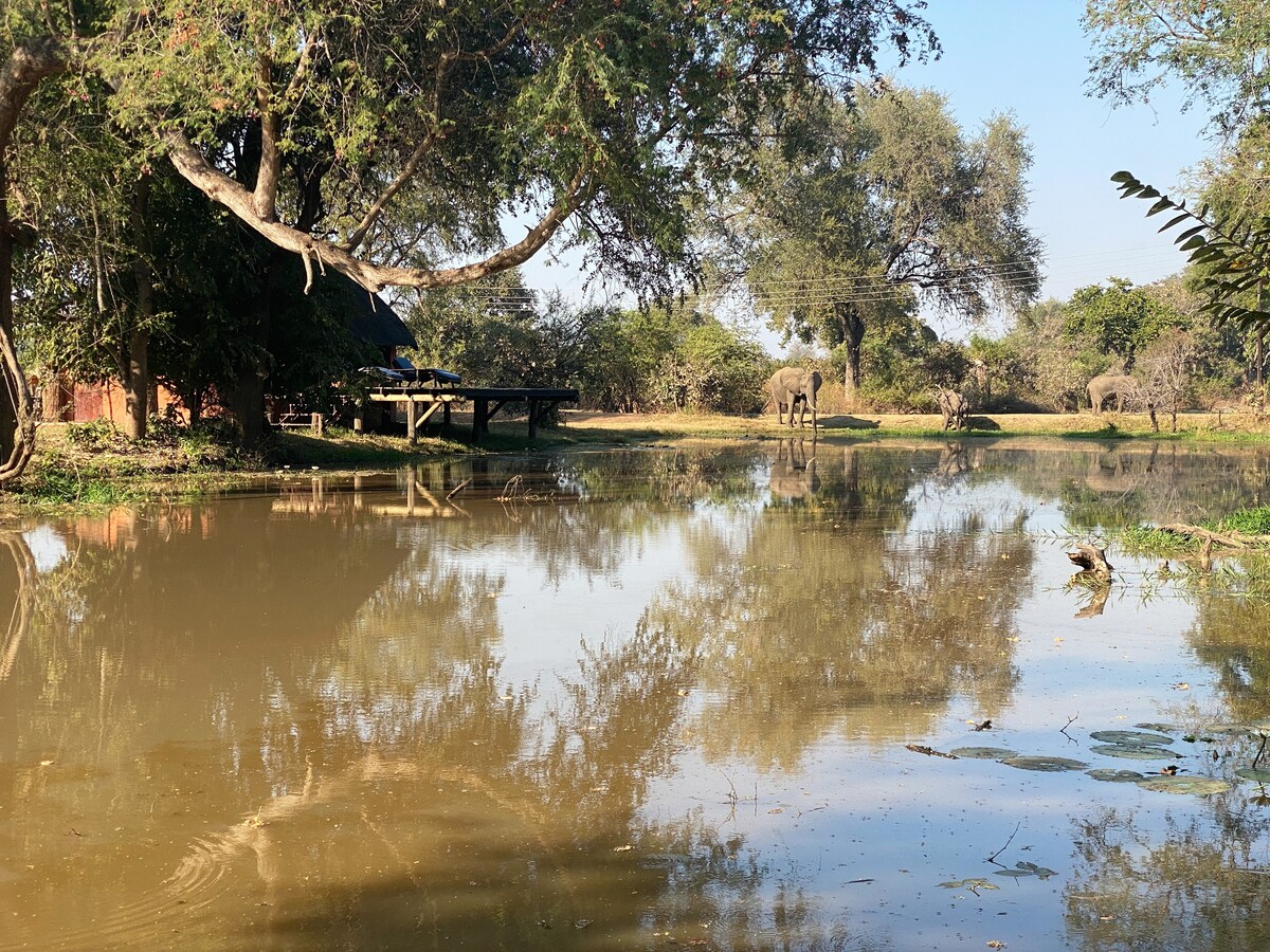 Hippo hide,自炊式小木屋