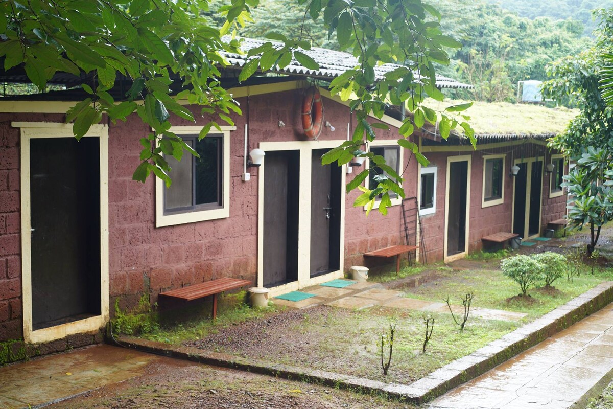 Blue Green Exotica - A Campsite Amid The Jungles.