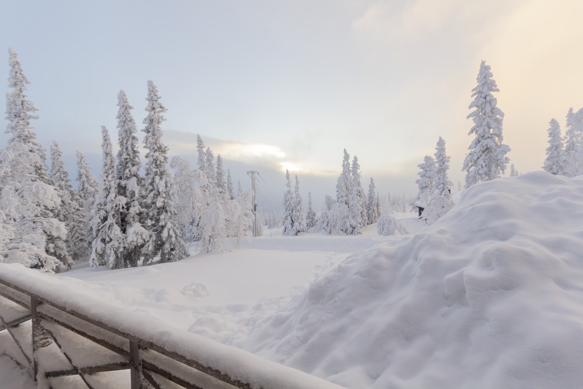 Fjällstuga in Bydalsfjällen