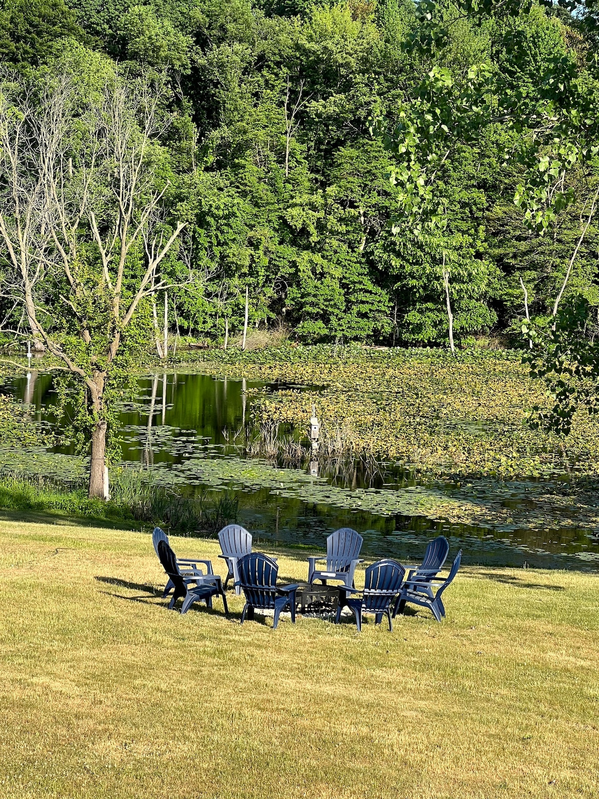 Deer Lodge Log Cabin with hot tub