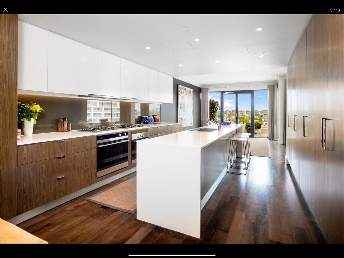 Potts Point Penthouse