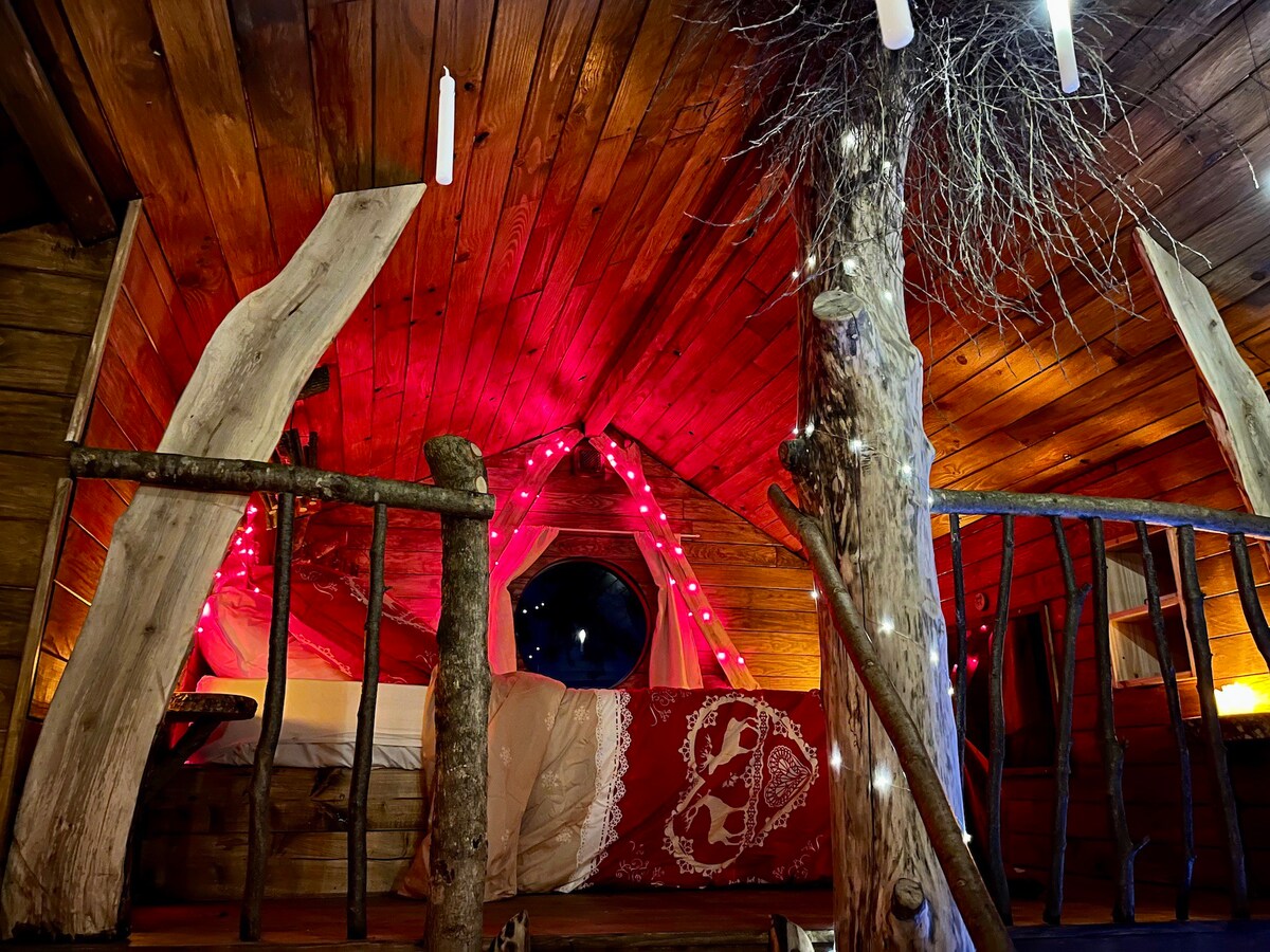 The Enchanted Wizard Cabane with Jungle hot tub