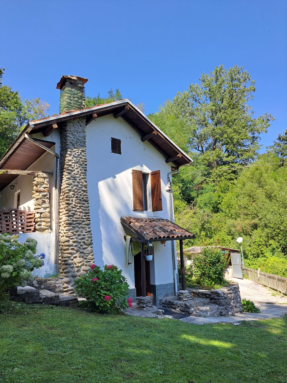 Casa tra gli abeti rossi