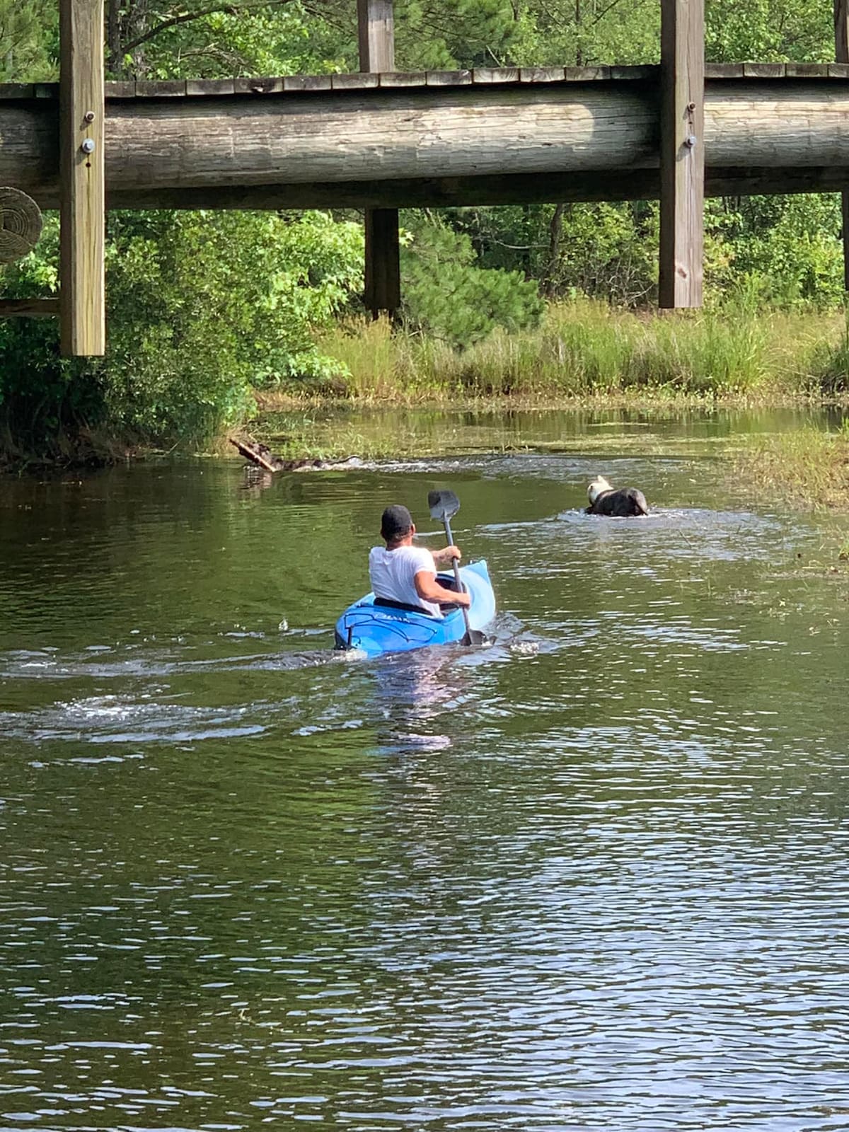 Assateague 1附近的帐篷/房车露营地