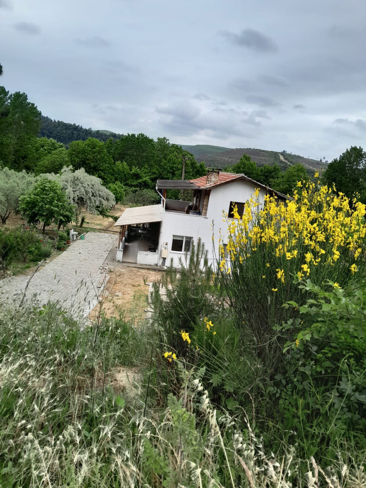 Gelibolu yarım adası Çanakkale çiftlik evi