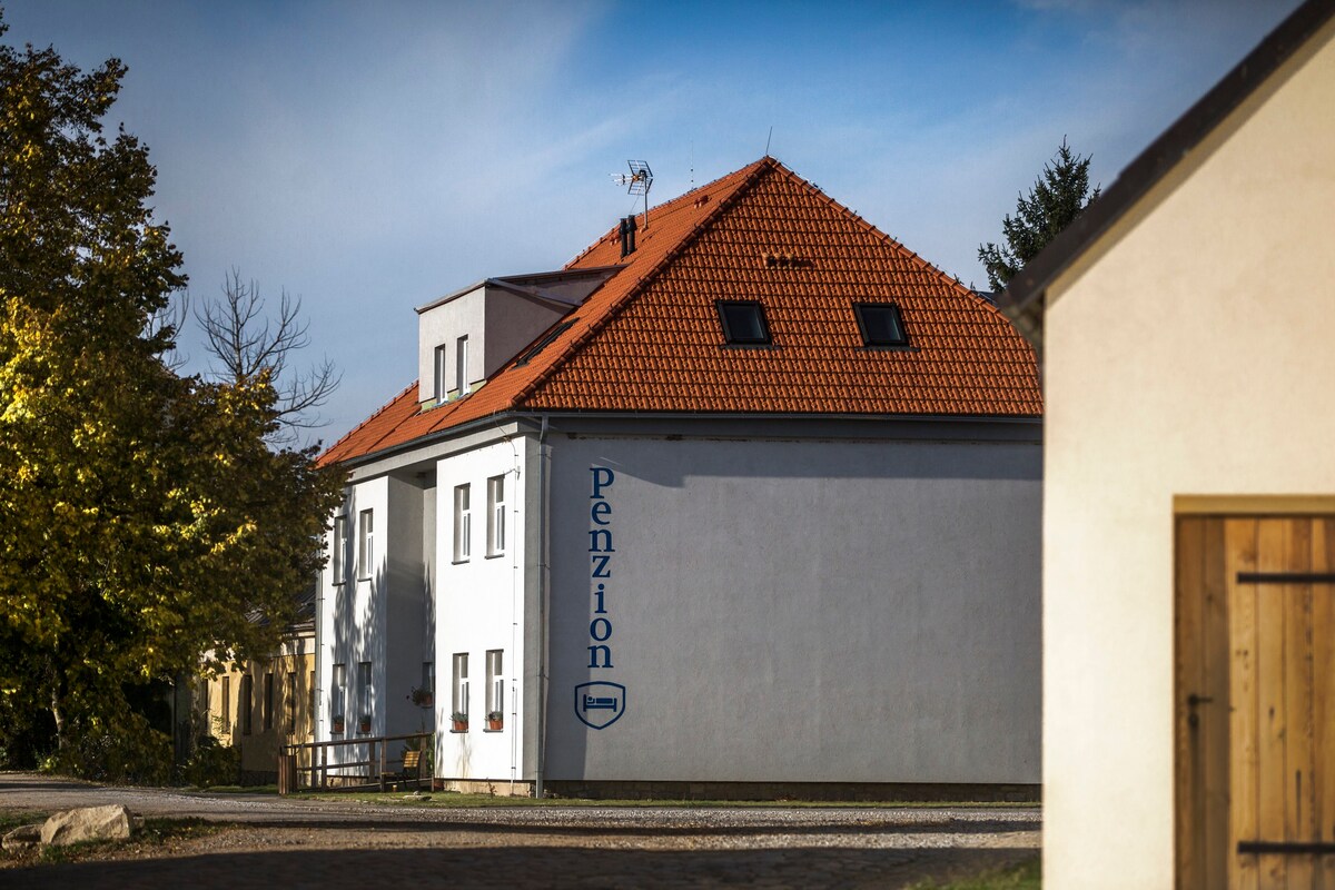 Dvoulůžkový pokoj s lednicí u centra města Telč 11