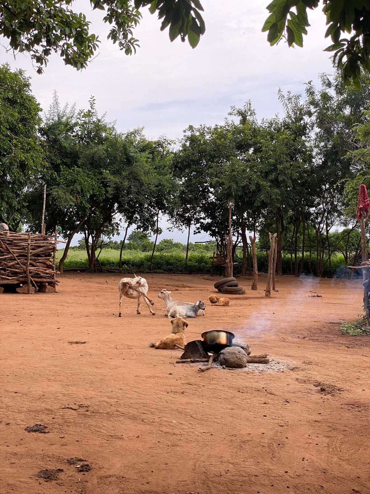 Stay in a Masai Boma in Morogoro