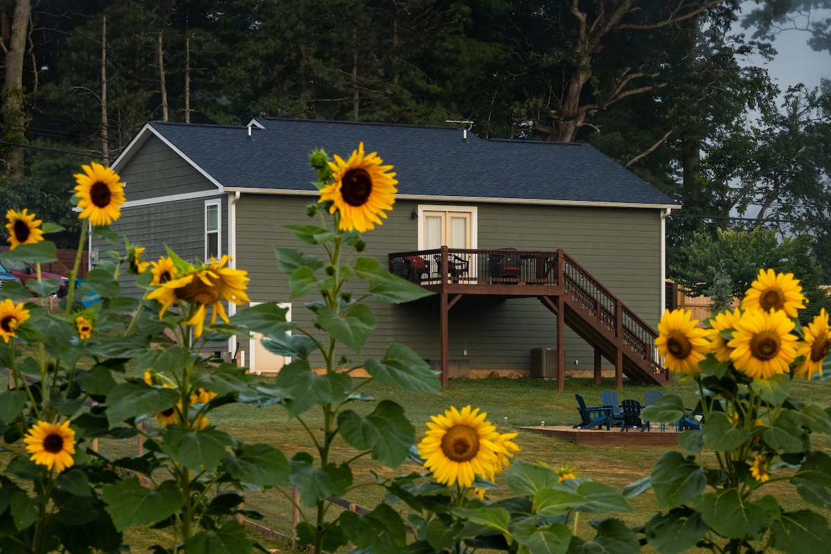 Sunflowers and Fireflies