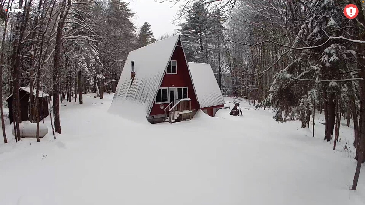 Cozy cabin nestled in the woods