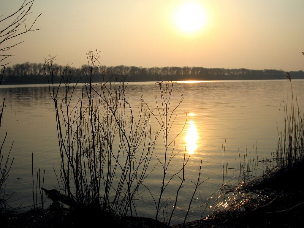 Natuur, Sauna en Serene Klankschalen