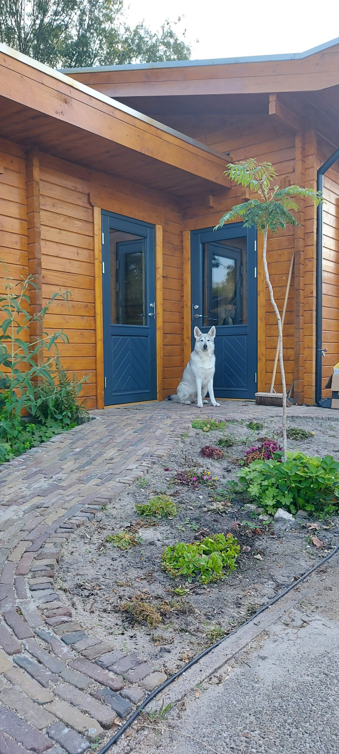 Natuur, Sauna en Serene Klankschalen