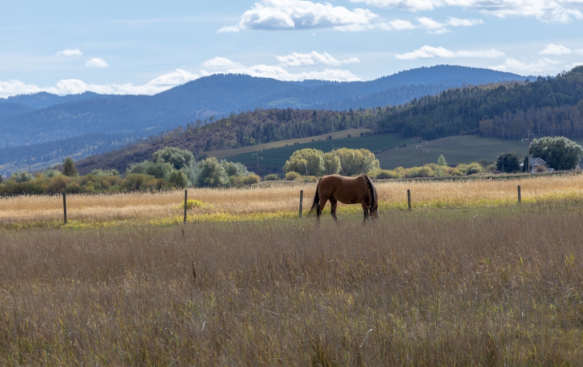 Spotted Moon Ranch- River Front