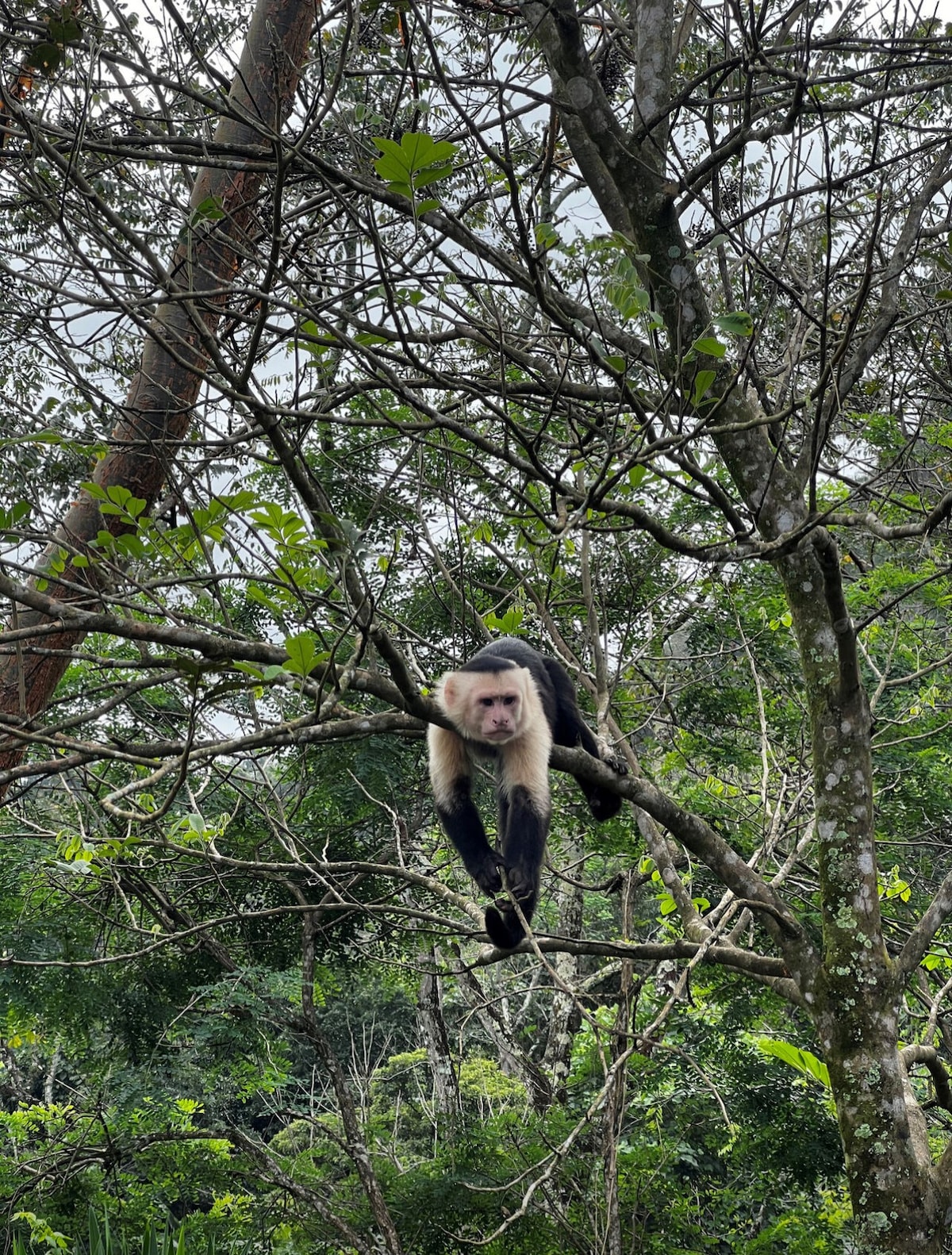 San Jose, Costa Rica