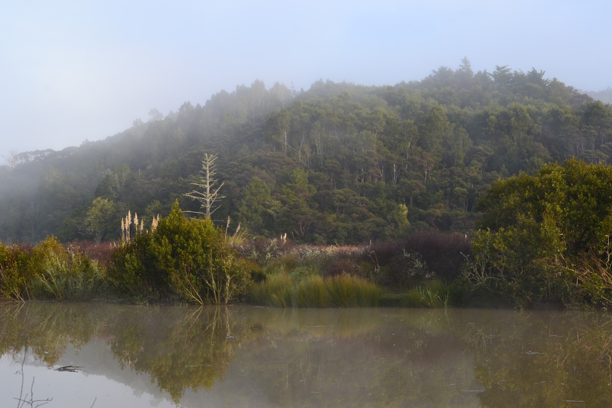 Manuka Views - Close to Thermal Hot Pools