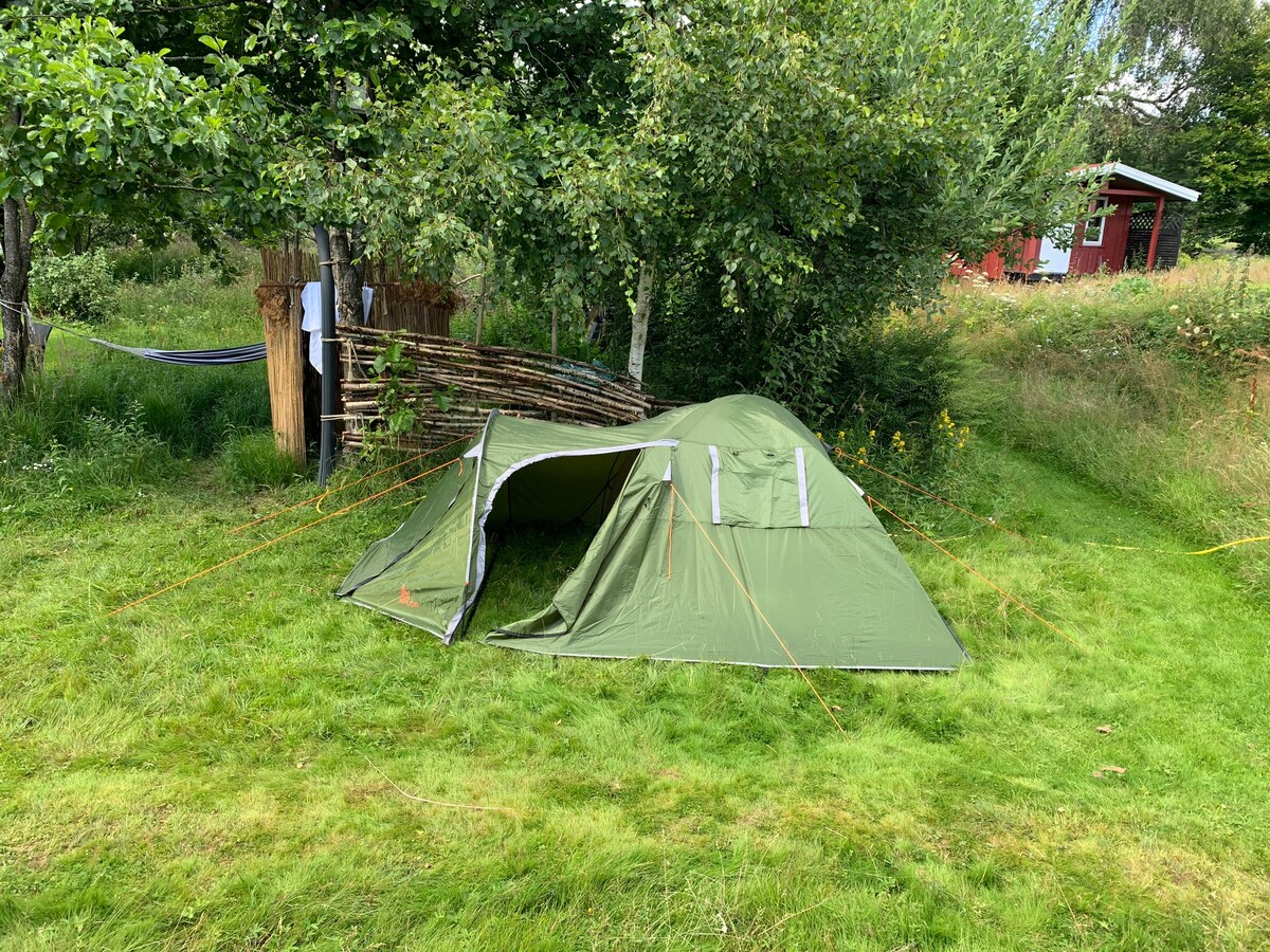 Riverside Bliss Camp: 3 man tent Near Tvedestrand