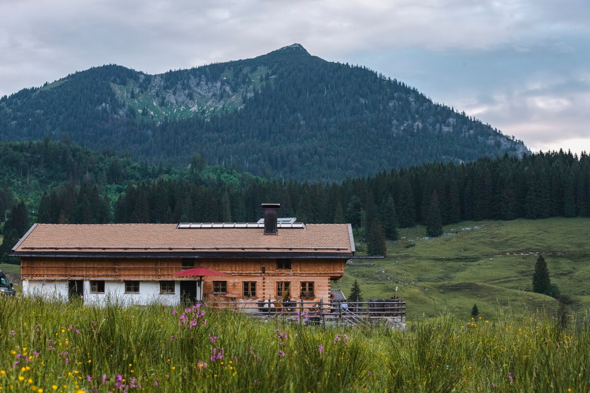 Hasenalm by Hasenöhrl-Hof-GmbH