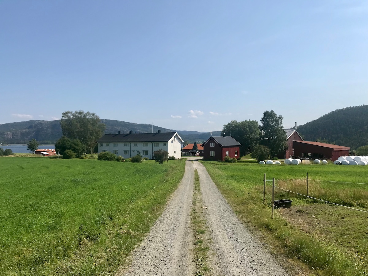 Masstu on Farm in Namsos