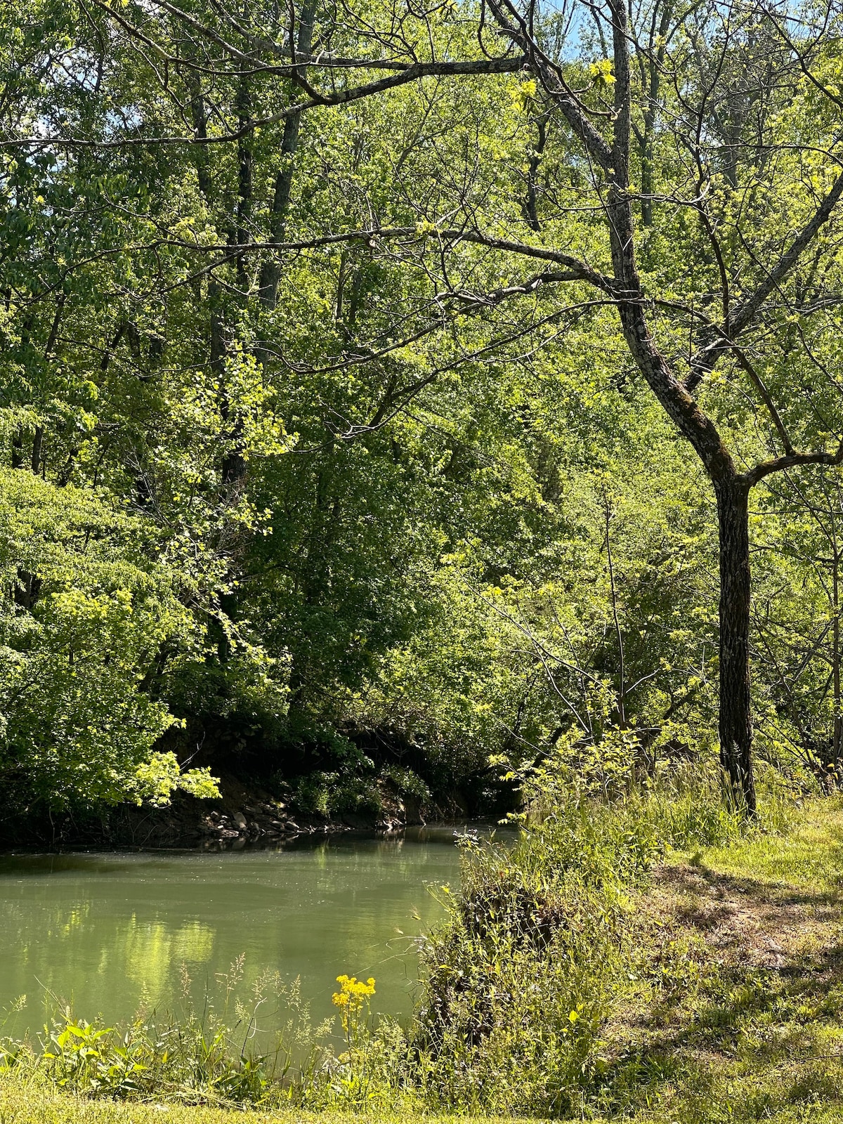 Bishop Creekside Glamping