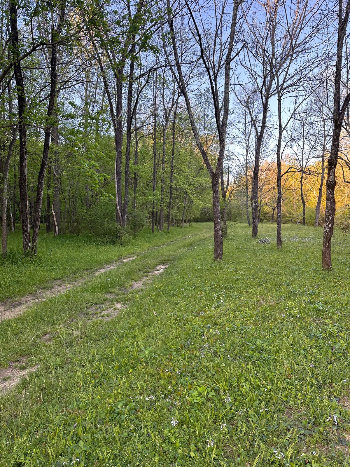 Bishop Creekside Glamping