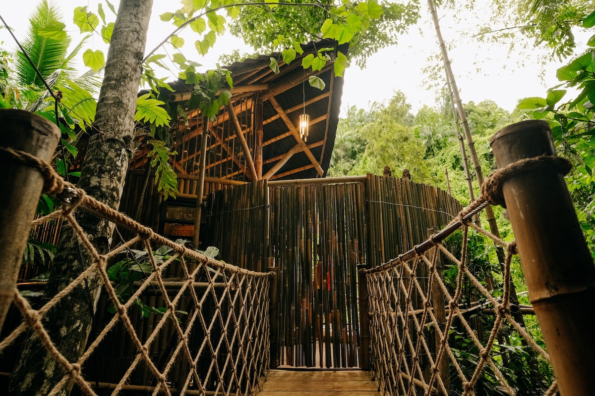 Treehouse de Valentine No3