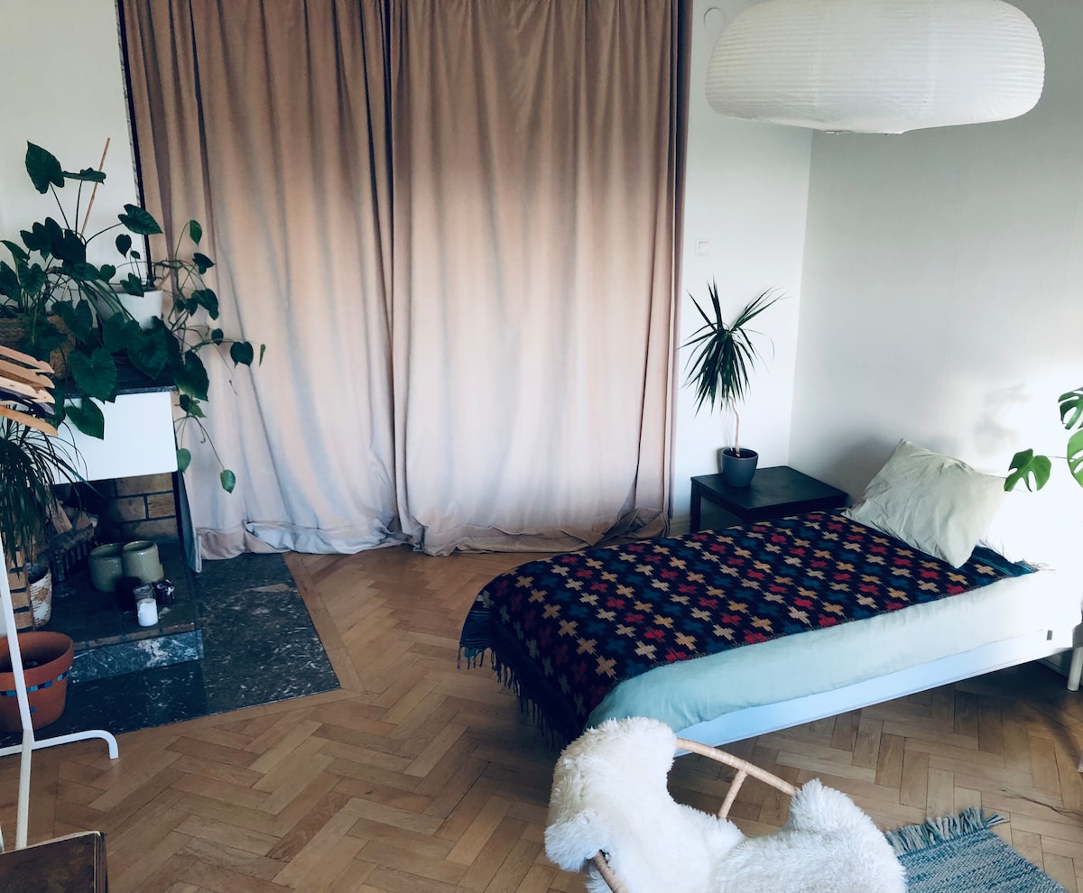 Large room 5min from Central Station, Gothenburg