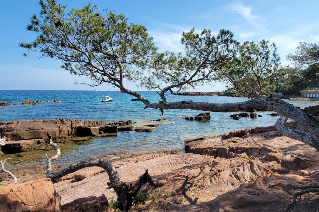 Appartement climatisé, plage Péguière à St Raphaël