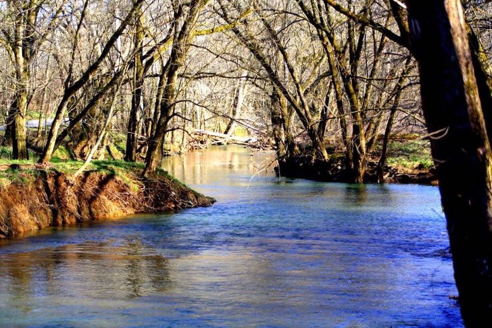 Cottage and Garden on the Creek