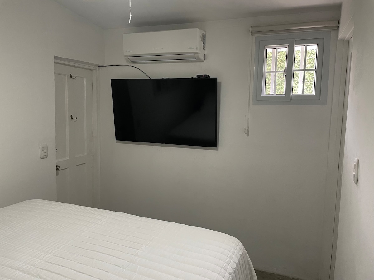 Santo Domingo 1 bedroom queen bed apt 200mgb wifi